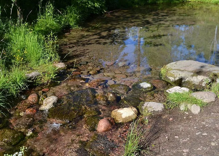 Hostal Kuninkaankartano *